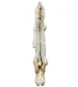 Full prime long hair Canadian lynx pelt - 1 of 1