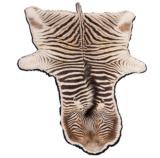 Brown Zebra Skin Rug with backing, 110" head to tail, 63" wide - 1 of 1