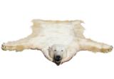Polar bear harvested by Jack Hall in 1962 - 3 of 3