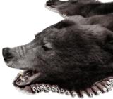 Idaho spring bear rug - 1 of 2
