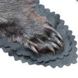 North idaho black bear rug with backing - 3 of 7