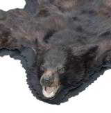 North idaho black bear rug with backing - 2 of 7