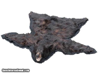 North idaho black bear rug with backing