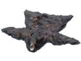 North idaho black bear rug with backing - 1 of 7