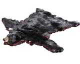 Black bear rug, sporting long silky hair. A little over 6' x 6'. - 1 of 4