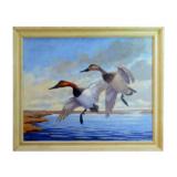 "Canvasbacks" by frederick c. havemeyer II - 1 of 2