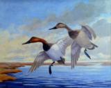 "Canvasbacks" by frederick c. havemeyer II - 2 of 2