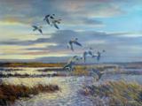 "Pintails" by hugh monahan - 1 of 2