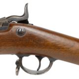 Springfield Model 1873 .45-70 - 4 of 11