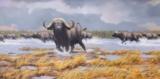 Cape Buffalo by Russ Johnson Oil on Board - 1 of 3
