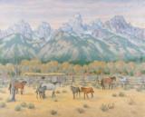 5 Mares and 3 Colts in the Tetons by Dorothy Dolph - 1 of 4