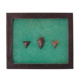 Prehistoric Points Set of 3 Del Rio, Texas - 1 of 1