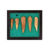 Prehistoric Antler and Cannon Bone Awls Set of 5 - 1 of 1