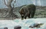 Grizzly after Trout by Charles Damrow - 1 of 4