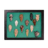 Prehistoric Columbia River Points Collection of 13 - 1 of 1