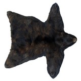 North idaho black bear rug with backing - 4 of 7
