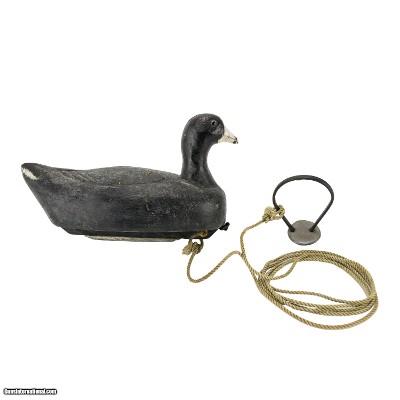 Coot Decoy