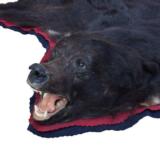Idaho Black Bear Rug - 2 of 4