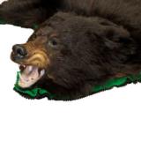 Black Bear Rug - 2 of 4