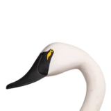 Swan Decoy - 3 of 5