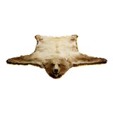 Alaskan Grizzly Rug - 2 of 4
