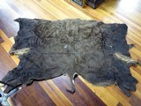 Buffalo Hide - 1 of 4