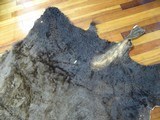 Buffalo Hide - 4 of 4