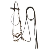 Bridle with Silver Rosettes and Coins - 1 of 5
