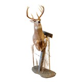 Whitetail Deer Pedestal Mount - 2 of 5