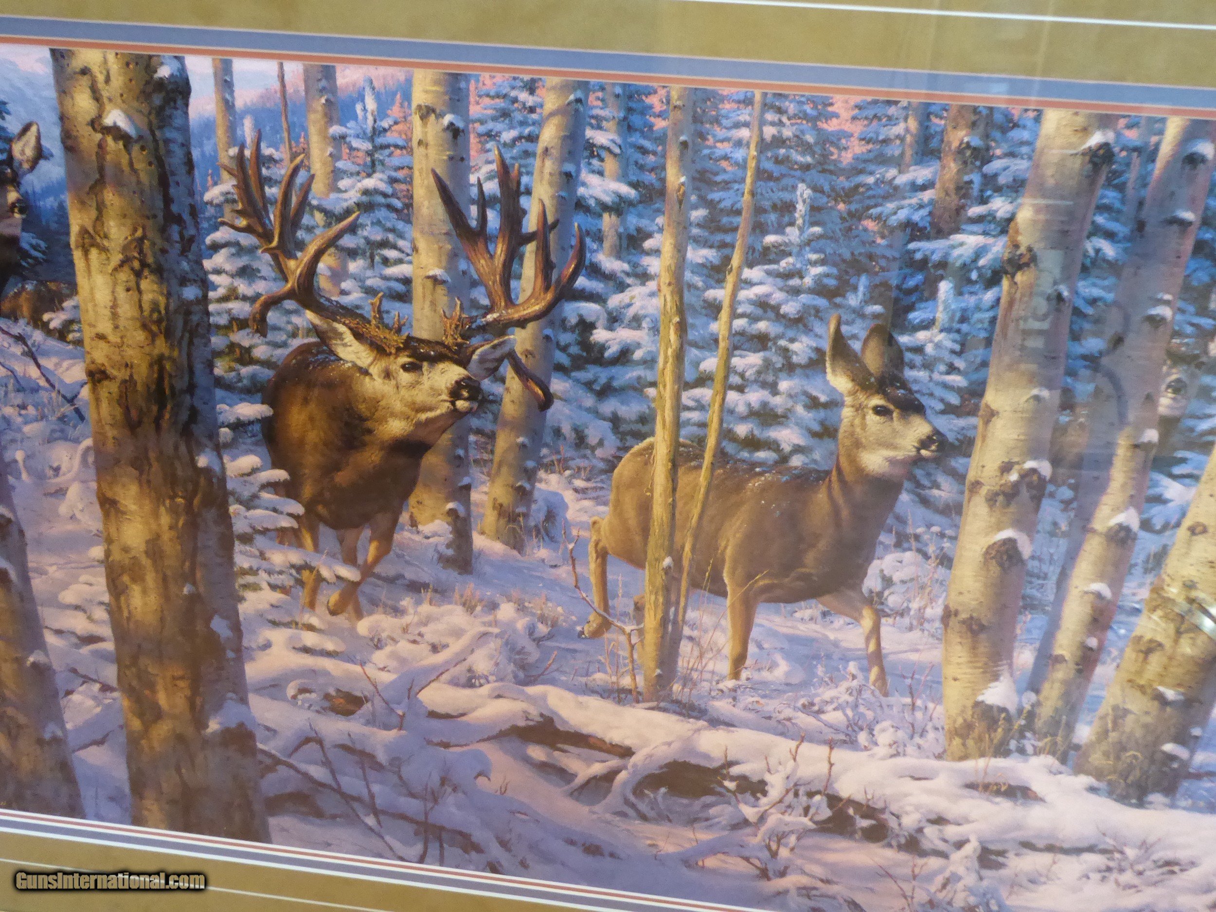 Craigslist East Idaho: The Unexpected Perks You'Ll Love - m8ki9wx