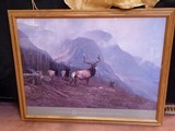 Elk print by Michael Coleman 1996 - 1 of 5
