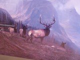Elk print by Michael Coleman 1996 - 2 of 5