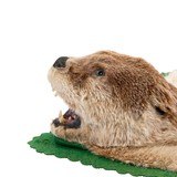 Otter Rug - 3 of 3