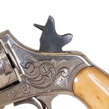 American Bulldog Revolver - 4 of 5