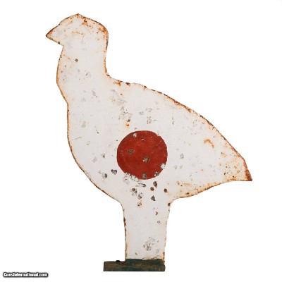Bird Shaped Shooting Target
