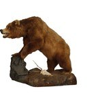 Floor Mount Kodiak Bear - 4 of 6