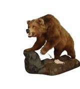 Floor Mount Kodiak Bear - 1 of 6