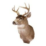 Alaska 4 x 4 Blacktail Mount - 1 of 3