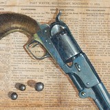 Civil War Colt by Don Prechtel - 3 of 5