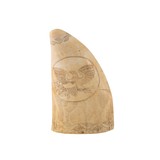 Whale Tooth - 2 of 3