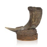 Buffalo Horn Vase - 1 of 5