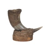 Buffalo Horn Vase - 2 of 5