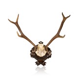 Red Stag Trophy Mount