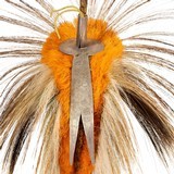 Plains Deer Tail Roach - 4 of 5