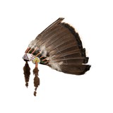 Blackfeet Headdress - 1 of 5