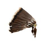 Blackfeet Headdress - 3 of 5