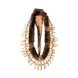 Warriors Breastplate/Necklace - 1 of 5