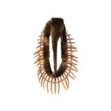 Warriors Breastplate/Necklace - 3 of 5