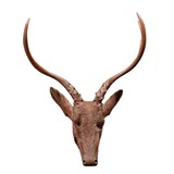 Carved Whitetail Deer Head - 2 of 3