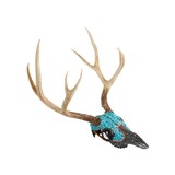 Navajo Turquoise Deer Skull - 2 of 3